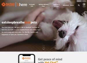 How banfield.com looks like on a tablet such as an iPad.