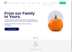 How bankmobilevibe.com looks like on a tablet such as an iPad.