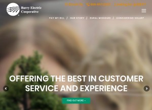 How barryelectric.com looks like on a tablet such as an iPad.