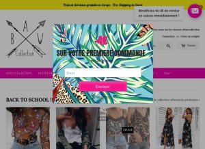 How bawcollection.com looks like on a tablet such as an iPad.