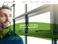 Desktop screenshot for worldsynergy.com