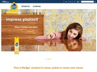 Desktop screenshot for pledge.com