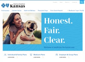 How bcbsks.com looks like on a tablet such as an iPad.