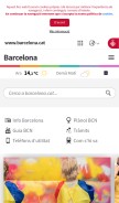 How bcn.cat looks like on a mobile device such as an iPhone.