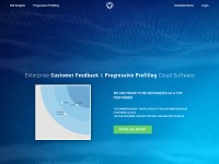 Desktop screenshot for pulseinsights.com