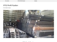 Screenshot of st52profil.com