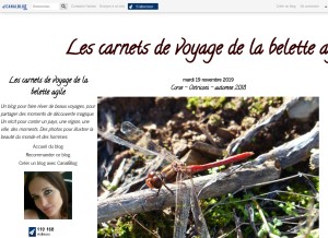 How beletteagile.com looks like on a tablet such as an iPad.