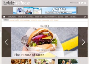 How berkeleywellness.com looks like on a tablet such as an iPad.