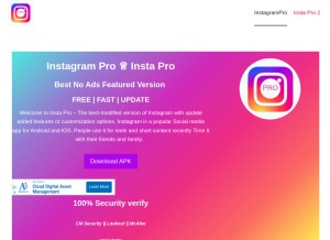 How bestbioinsta.com looks like on a tablet such as an iPad.
