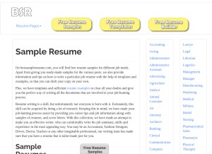 How bestsampleresume.com looks like on a tablet such as an iPad.