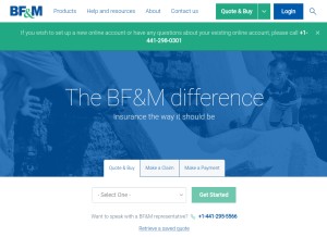 How bfm.bm looks like on a tablet such as an iPad.