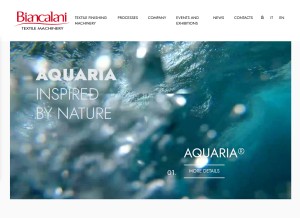 How biancalani.com looks like on a tablet such as an iPad.