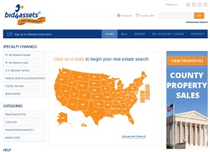 How bid4assets.com looks like on a tablet such as an iPad.