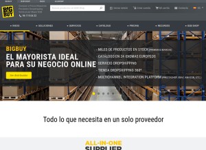 How bigbuy.eu looks like on a tablet such as an iPad.