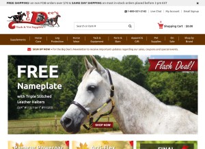 How bigdweb.com looks like on a tablet such as an iPad.