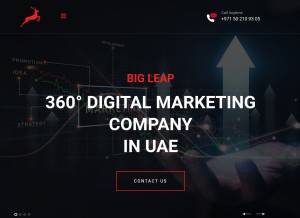 How bigleap.ae looks like on a tablet such as an iPad.