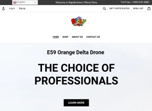 How biglybrothers.com looks like on a tablet such as an iPad.