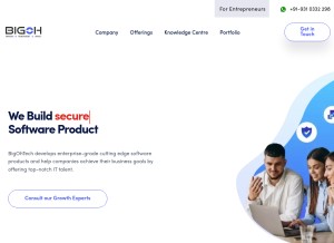 How bigohtech.com looks like on a tablet such as an iPad.