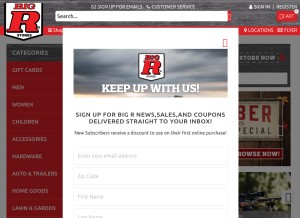 How bigronline.com looks like on a tablet such as an iPad.