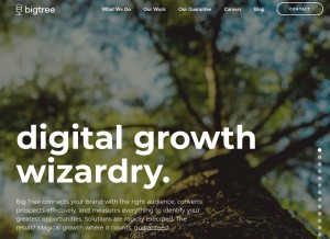 How bigtreeonline.com looks like on a tablet such as an iPad.