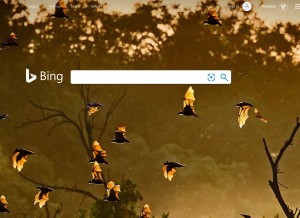 How bing.com looks like on a tablet such as an iPad.