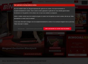 How bingoal.nl looks like on a tablet such as an iPad.