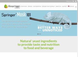 How biospringer.com looks like on a tablet such as an iPad.