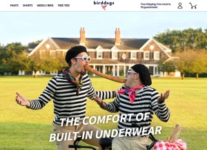 How birddogs.com looks like on a tablet such as an iPad.