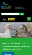 How birdlife.org looks like on a mobile device such as an iPhone.