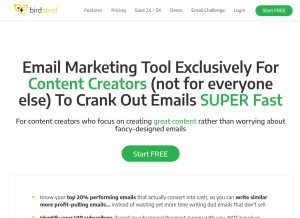 How birdsend.co looks like on a tablet such as an iPad.