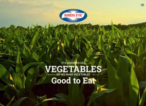 How birdseye.com looks like on a tablet such as an iPad.