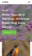 How birdzfly.com looks like on a mobile device such as an iPhone.