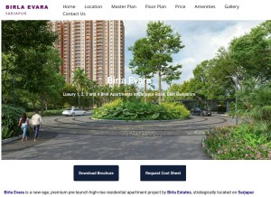 How birlaevara.net.in looks like on a tablet such as an iPad.