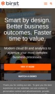 How birst.com looks like on a mobile device such as an iPhone.