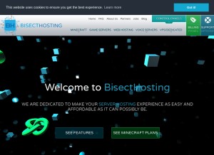 How bisecthosting.com looks like on a tablet such as an iPad.