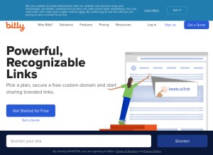 How bitly.com looks like on a tablet such as an iPad.
