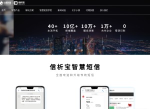 How bizport.cn looks like on a tablet such as an iPad.