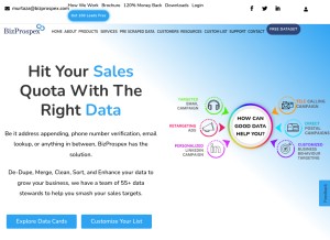 How bizprospex.com looks like on a tablet such as an iPad.