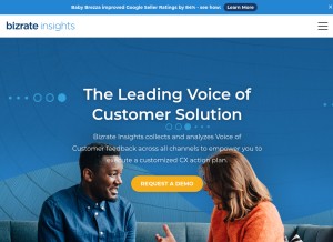 How bizrateinsights.com looks like on a tablet such as an iPad.