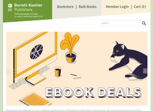 How bkconnection.com looks like on a tablet such as an iPad.