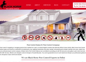 How blackhorsepestcontrol.ae looks like on a tablet such as an iPad.