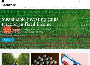 How blackrockblog.com looks like on a tablet such as an iPad.