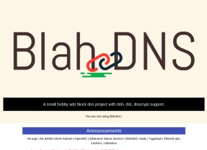How blahdns.com looks like on a tablet such as an iPad.