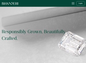 How blgdlab.com looks like on a tablet such as an iPad.