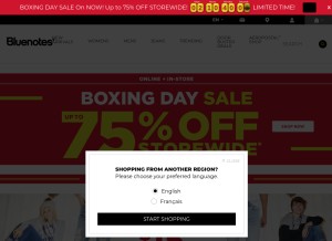 How blnts.com looks like on a tablet such as an iPad.