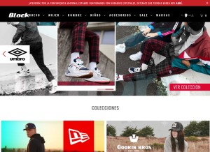 How blockstore.cl looks like on a tablet such as an iPad.