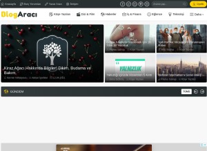 How blogaraci.com looks like on a tablet such as an iPad.