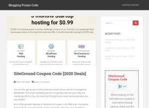 How bloggingpromocode.com looks like on a tablet such as an iPad.