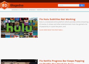 How blogsdna.com looks like on a tablet such as an iPad.