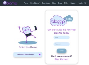 How blomp.com looks like on a tablet such as an iPad.